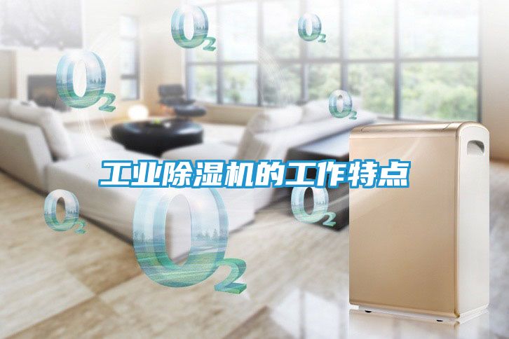 工业除湿机的工作特点