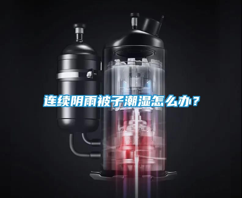 连续阴雨被子潮湿怎么办？