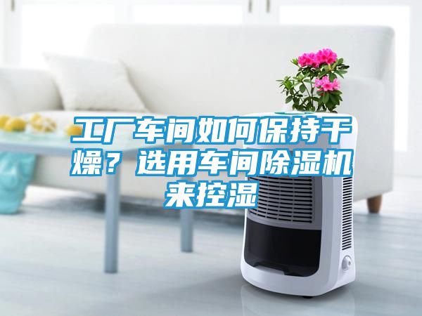 工厂车间如何保持干燥？选用车间除湿机来控湿