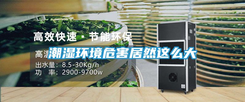 潮湿环境危害居然这么大