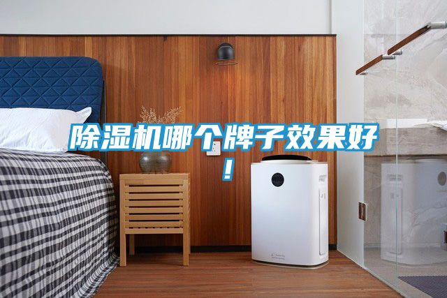 除湿机哪个牌子效果好！