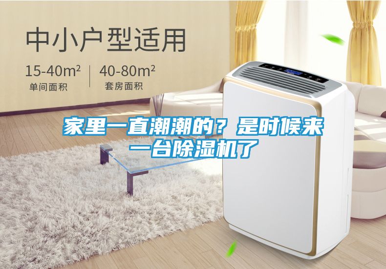 家里一直潮潮的？是时候来一台除湿机了