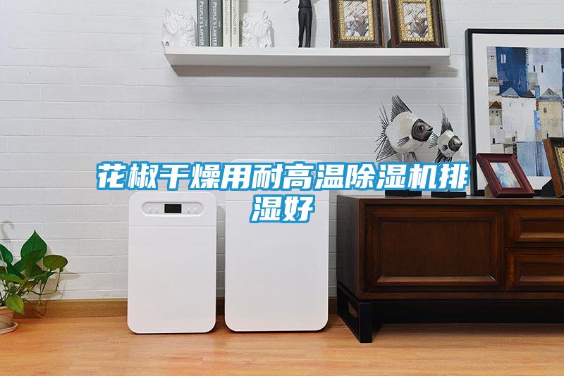 花椒干燥用耐高温除湿机排湿好