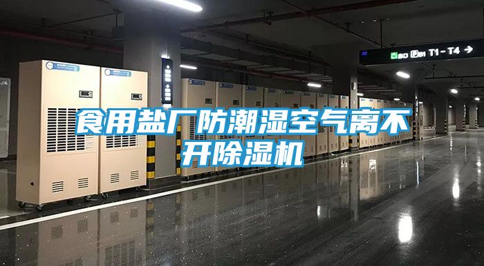 食用盐厂防潮湿空气离不开除湿机