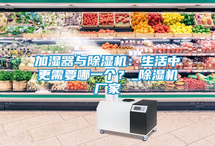 加湿器与除湿机：生活中更需要哪一个？_除湿机厂家