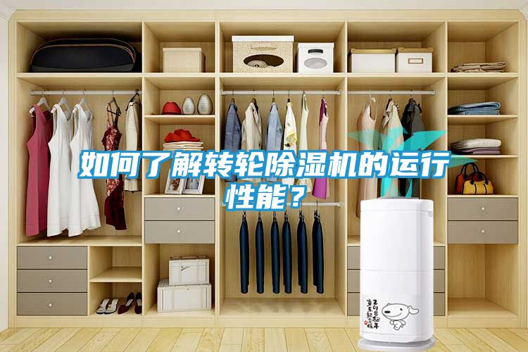 如何了解转轮除湿机的运行性能？