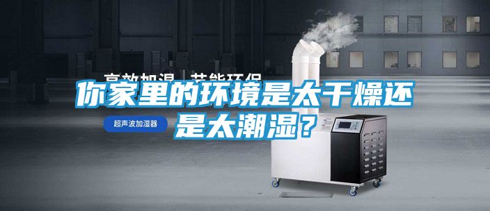 你家里的环境是太干燥还是太潮湿？