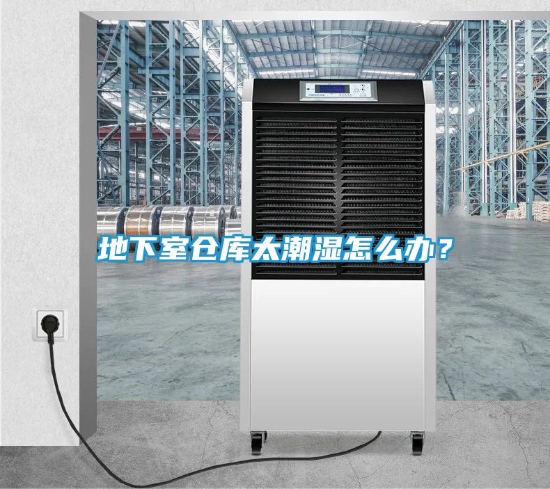 地下室仓库太潮湿怎么办？