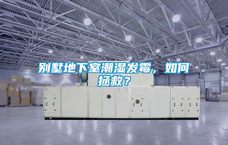 别墅地下室潮湿发霉，如何拯救？
