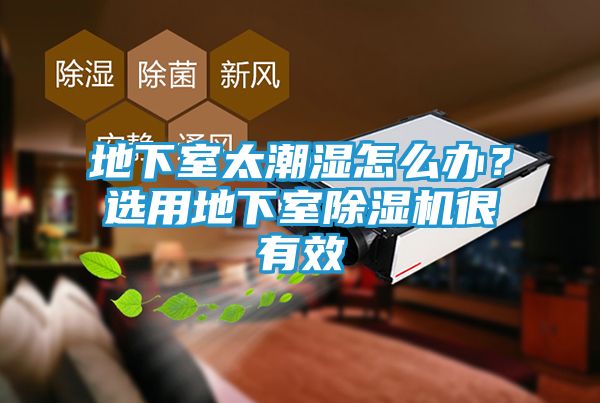 地下室太潮湿怎么办？选用地下室除湿机很有效
