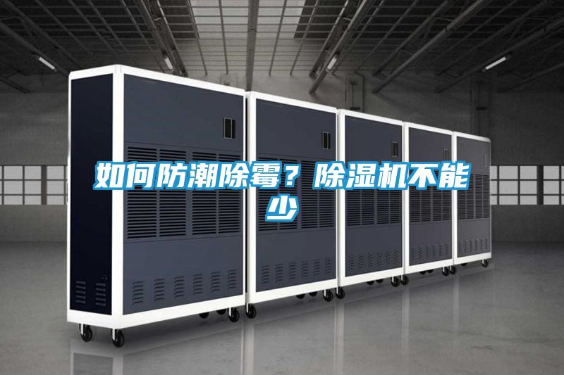 如何防潮除霉？除湿机不能少