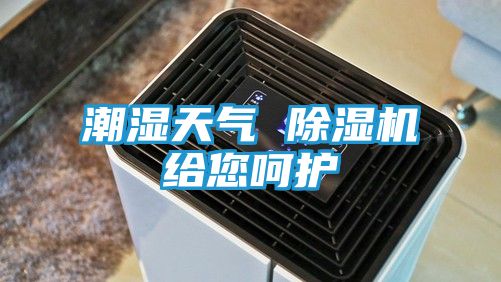 潮湿天气 除湿机给您呵护