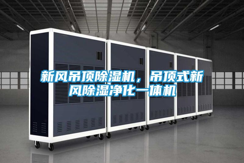新风吊顶除湿机，吊顶式新风除湿净化一体机