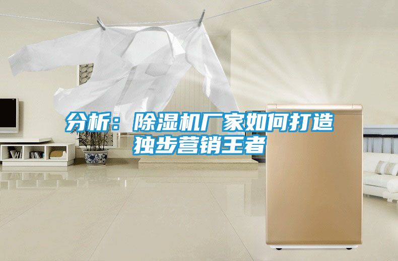 分析：除湿机厂家如何打造独步营销王者
