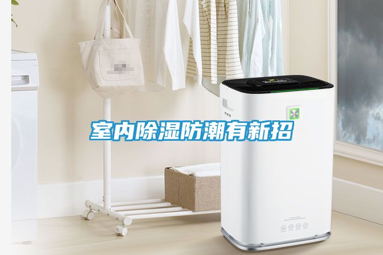 室内除湿防潮有新招