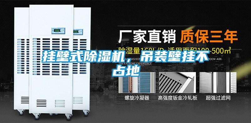 挂壁式除湿机，吊装壁挂不占地