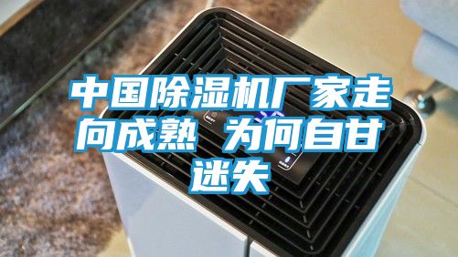 中国除湿机厂家走向成熟 为何自甘迷失