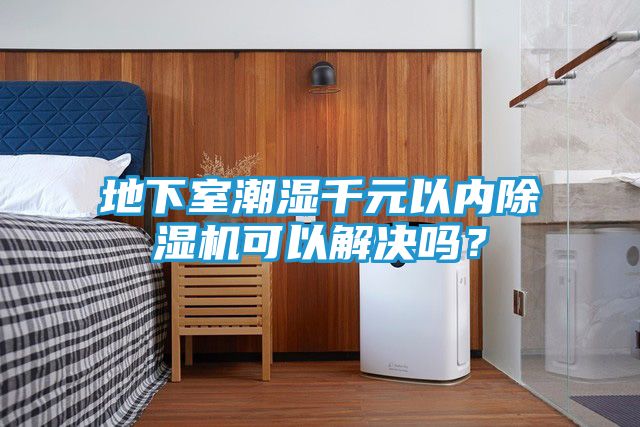 地下室潮湿千元以内除湿机可以解决吗？