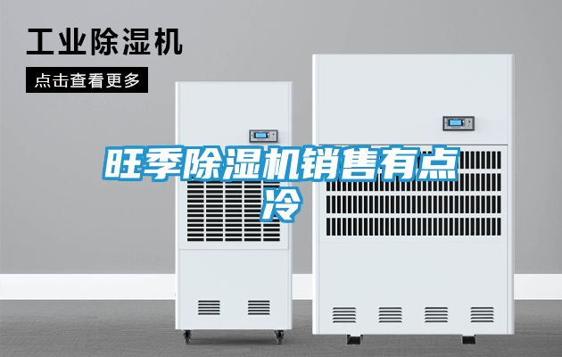 旺季除湿机销售有点冷