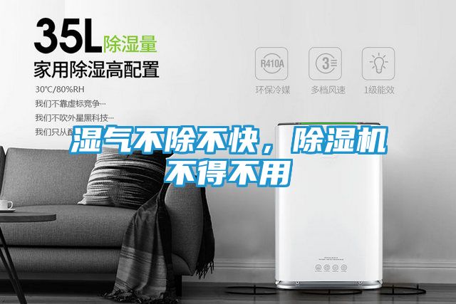 湿气不除不快，除湿机不得不用