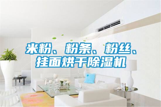 米粉、粉条、粉丝、挂面烘干除湿机