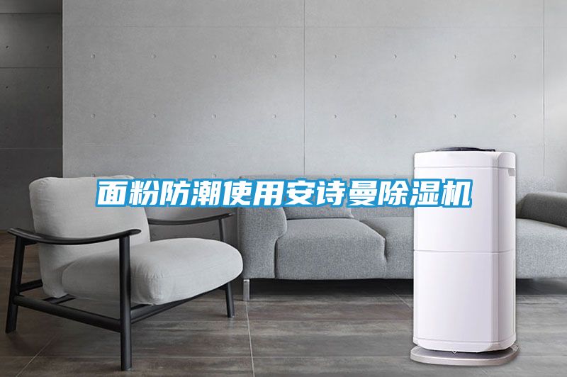 面粉防潮使用安诗曼除湿机