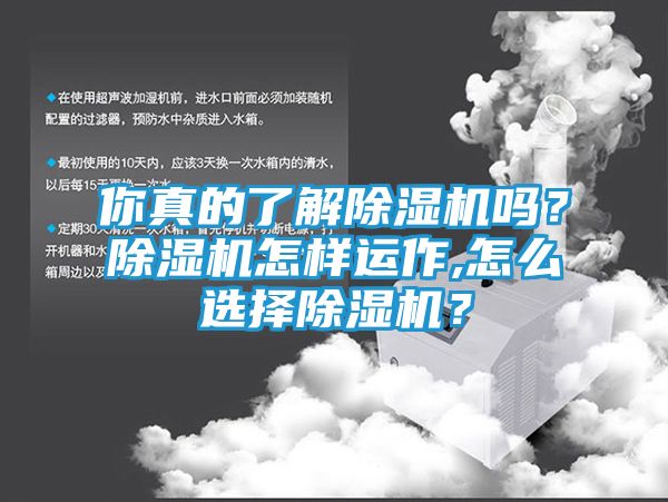 你真的了解除湿机吗？除湿机怎样运作,怎么选择除湿机？