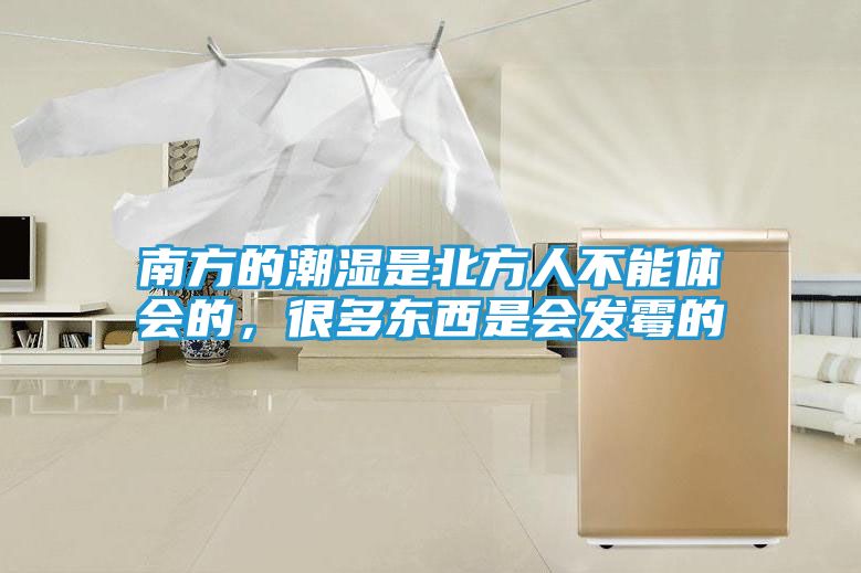 南方的潮湿是北方人不能体会的，很多东西是会发霉的