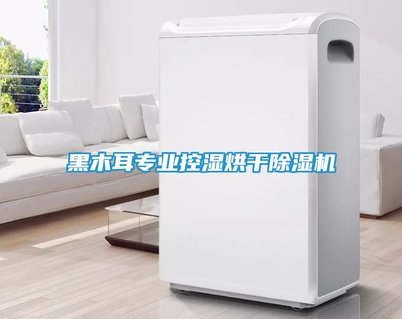 黑木耳专业控湿烘干除湿机