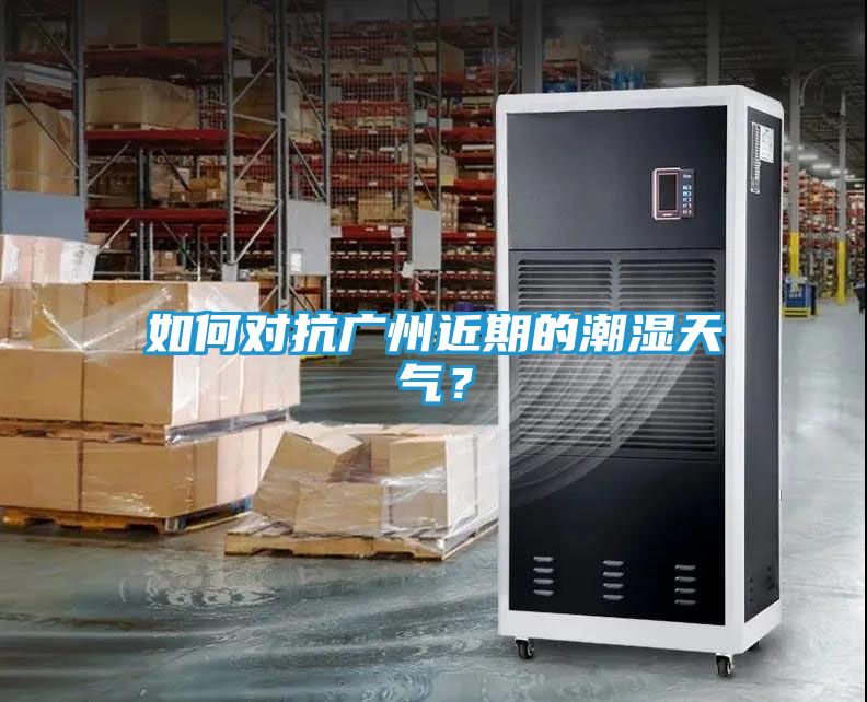 如何对抗广州近期的潮湿天气？