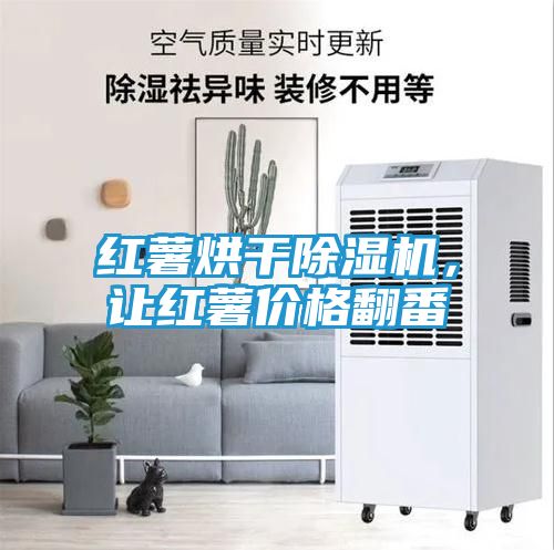 红薯烘干除湿机，让红薯价格翻番