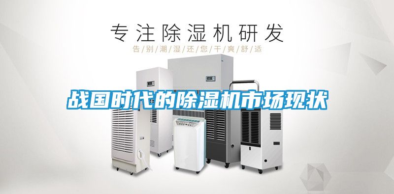 战国时代的除湿机市场现状