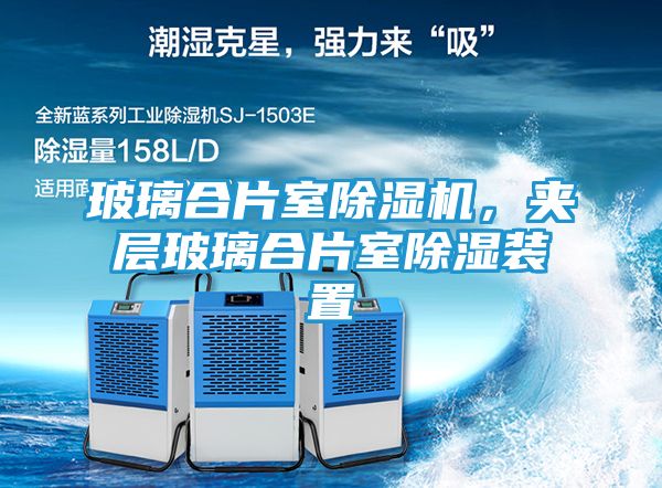 玻璃合片室除湿机，夹层玻璃合片室除湿装置