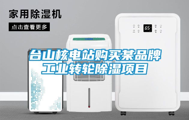 台山核电站购买某品牌工业转轮除湿项目