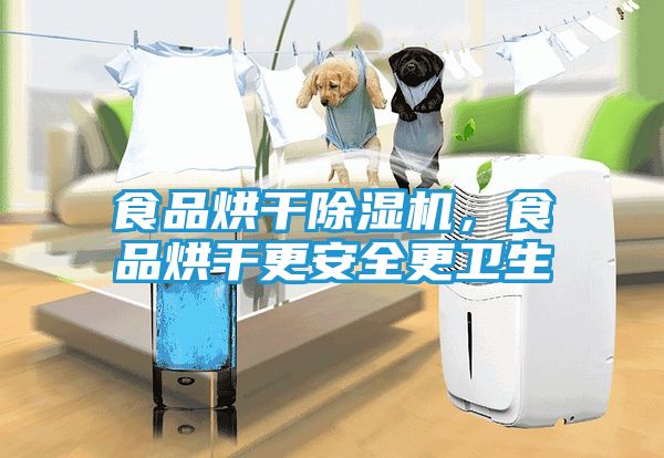 食品烘干除湿机，食品烘干更安全更卫生