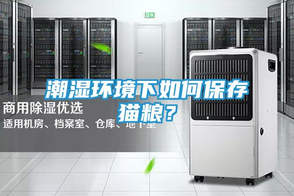 潮湿环境下如何保存猫粮？