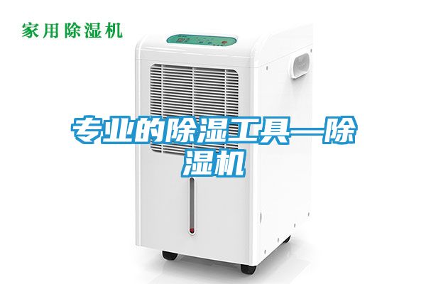 专业的除湿工具—除湿机