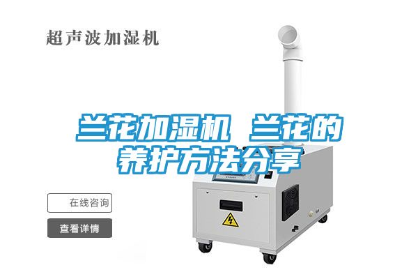 兰花加湿机 兰花的养护方法分享