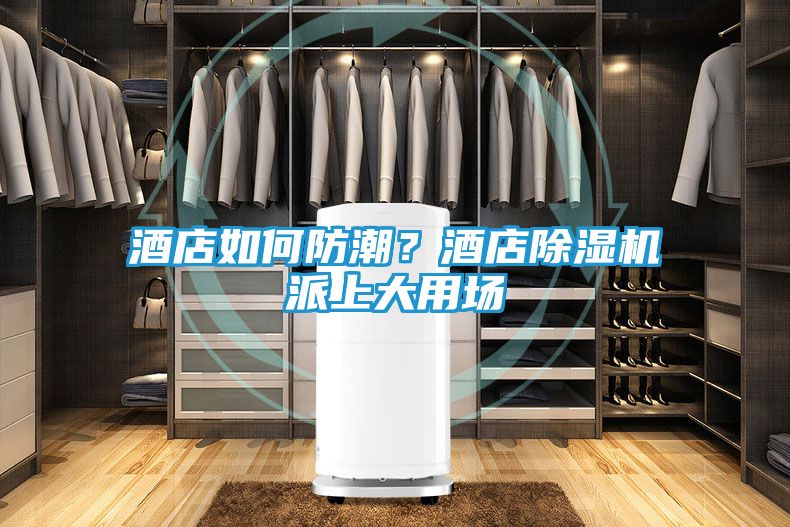 酒店如何防潮？酒店除湿机派上大用场