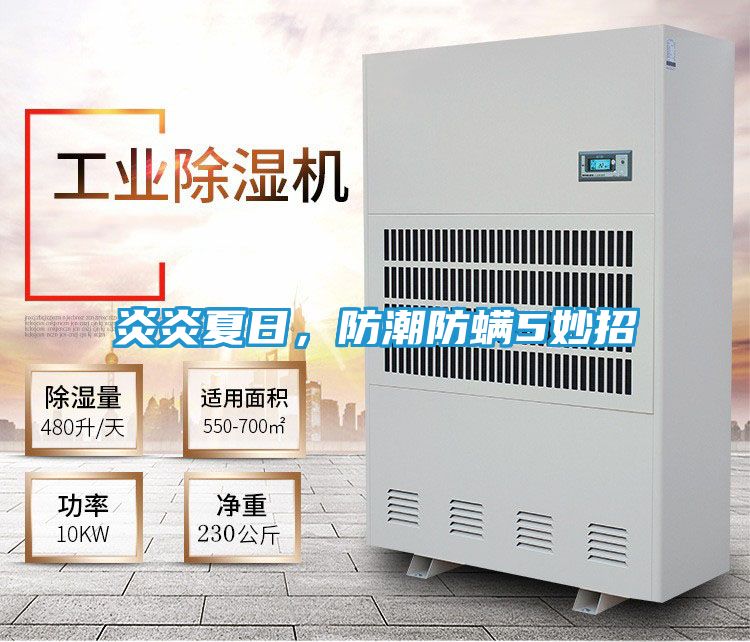 炎炎夏日，防潮防螨5妙招