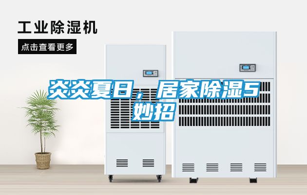 炎炎夏日，居家除湿5妙招