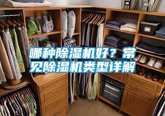 哪种除湿机好？常见除湿机类型详解