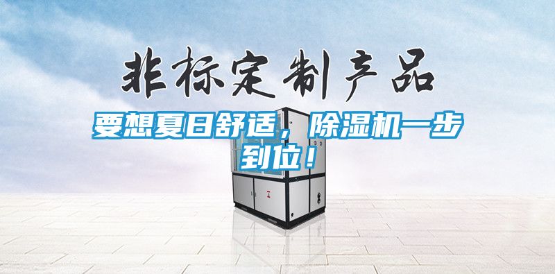要想夏日舒适，除湿机一步到位！