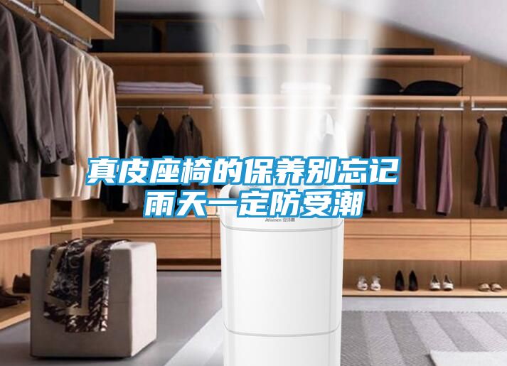 真皮座椅的保养别忘记 雨天一定防受潮