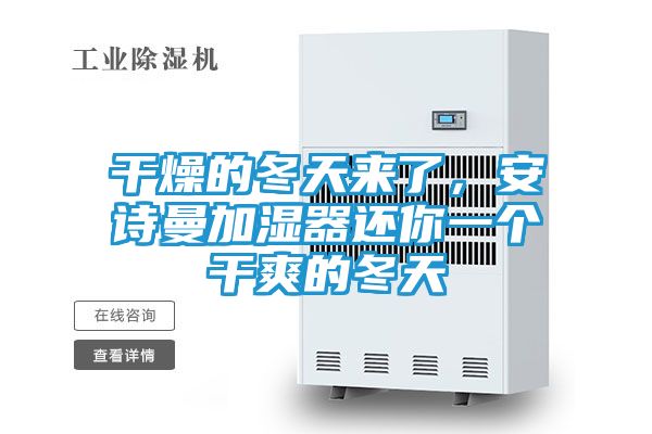 干燥的冬天来了，安诗曼加湿器还你一个干爽的冬天