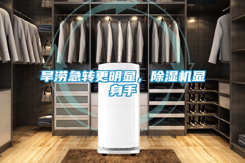 旱涝急转更明显，除湿机显身手