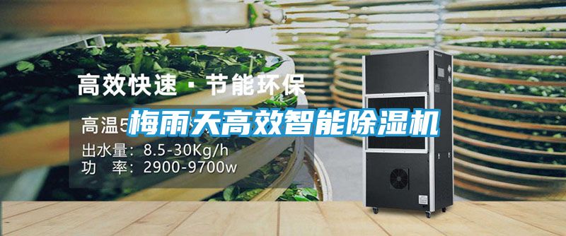 梅雨天高效智能除湿机