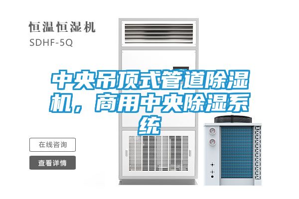 中央吊顶式管道除湿机，商用中央除湿系统