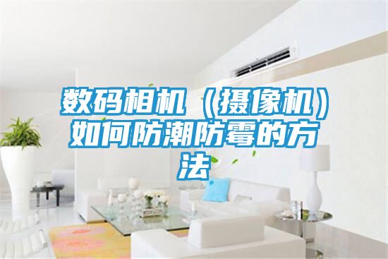 数码相机（摄像机）如何防潮防霉的方法