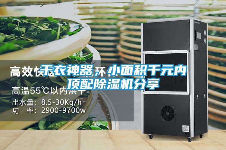 干衣神器，小面积千元内顶配除湿机分享